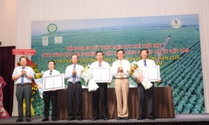 Ông Cao Chí Công – Phó Tổng Cục trưởng Tổng cục Lâm nghiệp (ngoài cùng bên phải) và ông Trần Ngọc Thuận – Chủ tịch HĐQT VRG (thứ 3 từ trái qua) trao chứng Chỉ rừng Việt Nam cho 3 công ty Phú Riềng, Dầu Tiếng, Bình Long