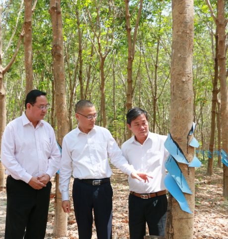 Ông Vũ Quang Minh - Đại sứ đặc mệnh toàn quyền Việt Nam tại Campuchia (giữa) đánh giá cao thành quả 10 năm qua của Cao su Bà Rịa Kampong Thom.