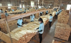 Doanh nghiệp gỗ cần thay đổi để thích ứng với dịch bệnh