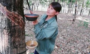 Nữ đảng viên Kiều Thị Tuyết với công việc hàng ngày trên vườn cây.