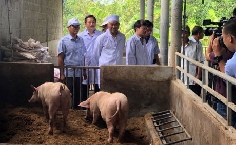 Thứ trưởng Bộ NN & PTNT Phùng Đức Tiến trong một dịp khảo sát mô hình chăn nuôi hữu cơ của Tập đoàn Quế Lâm.