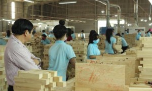 Sản xuất tại Công ty CP Gỗ Tây Ninh. Ảnh: Phan Thắng.