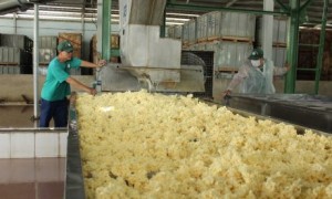 Từng nhóm ngành chủ động xây dựng các kịch bản phù hợp ứng phó với khó khăn. Ảnh: Phan Thắng.