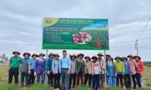 CBNV Công ty Quế Lâm Phương Nam và bà con nông dân tại buổi thu hoạch. Ảnh: LÊ MINH