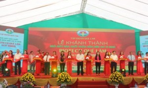 Đại biểu khách mời Trung ương, địa phương cắt băng khánh thành nhà máy.