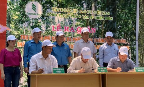 Lãnh đạo các nông trường cao su thuộc Công ty CPCS Điện Biên ký giao ước thi đua năm 2019.