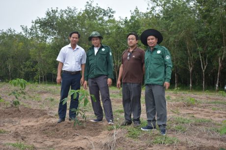 Lãnh đạo NT Minh Tân và Phòng KTNN Cty tham gia chỉ đạo công tác trồng mới