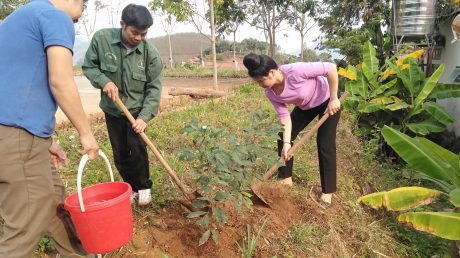 Ra quân trồng cây xanh trong khuôn viên NT Châu Quỳnh.