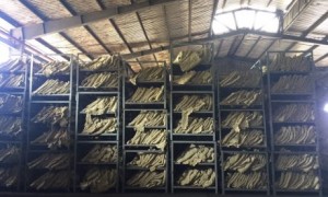 “Chị nuôi” Trần Thị Chơn đang nấu ăn.