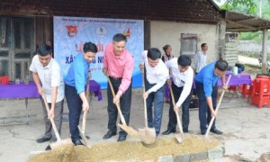 Trồng xen canh cây nghệ tại Công ty TNHH MTV Cao su Phú Riềng. Ảnh: Vũ Phong.