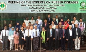 Các đại biểu tham dự cuộc họp tại Malaysia.