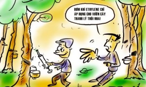 Ảnh: Cận