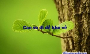 Ảnh sưu tầm