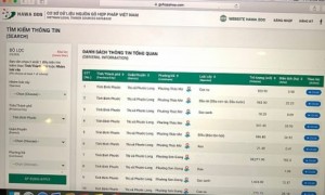 www.gohopphap.com cung cấp dữ liệu nguồn gỗ rừng trồng hợp pháp tại Việt Nam giúp DN kết nối trực tiếp