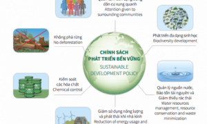Chính sách phát triển bền vững của VRG
