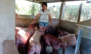 Chị Nguyễn Thị Xuân là người "Giỏi việc nước - Đảm việc nhà".