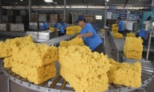 Xuất khẩu cao su sang Ấn Độ dự đoán chững lại trong năm 2019. Ảnh minh họa