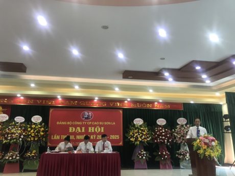 Ông Trần Ngọc Thuận - Bí thư Đảng ủy, Chủ tịch HĐQT VRG chỉ đạo tại đại hội