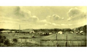Đồn điền Cao su An Lộc năm 1928