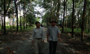 Anh Lê Văn Bảy
(bên phải) trên vườn cây cao su.