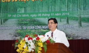 Đ/c Cao Đức Phát - Ủy viên TW Đảng, Phó Trưởng Ban Thường trực Ban Kinh tế TW phát biểu tại Hội nghị phát triển cao su hiệu quả, bền vững đến năm 2030. ẢNH: VŨ PHONG